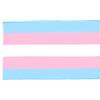 AZ FLAG Bandiera Arcobaleno Orgoglio transessuale 150x90 cm 2 Occhielli | Uso interno bandiera decorativa gay doppie cuciture e bordi rinforzati con occhielli metallici poliestere leggero