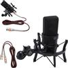 Ouitble Microfono XLR Studio da 26 mm, a condensatore, con supporto shock per la produzione musicale, registrazioni vocali e podcast
