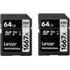 Lexar Professional 1667x Scheda SD 64 GB Set da 2, Scheda di memoria SDXC UHS-II, Fino a 250 MB/s di lettura, Class 10, U3, V60, SD per Fotografi Professionisti, Videografi (LSD1667064G-B2NAA)