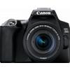 Canon EOS 250D + EF-S 18-55 DC III
