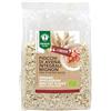 Probios Fiocchi d'Avena Integrale Mignon Biologici Senza Glutine - Avena Integrale per Porridge e Colazione - Alto Contenuto di Fibre e Proteine - Confezione da 6 da 500g
