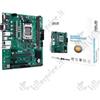 ASUS PRO A620M-C-CSM (AM5) (D)