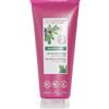 Klorane gel doccia foglie di fico 200 ml