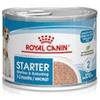 Royal Canin Cane Starter Mousse Mother & Baby Dog 195 Gr