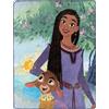 Northwest Disney Wish Silk Touch Coperta 116,8 x 152,4 cm, Amicizia