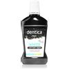 Tołpa Dentica Black White 500 ml
