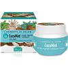 Helan, I Sorbetti CocoMint - Scrub Corpo Esfoliante, Fresco e Vegetale con Acqua di Cocco e Estratto di Menta, Body Scrub Gel con Cocco, Burro Corpo Esfoliante, Illuminante e Levigante, 150 ml
