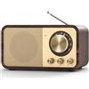 Padwa Lifestyle Radio Nostalgiche FM Con Connettività Bluetooth, Vintage per Cucina e Camera da Letto, Supporto per Schede TF, Prese AUX e USB
