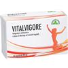 Benessere Moringa Vitalvigore 60 capsule