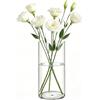 Koelaa Vaso Acrilico Trasparente per Fiori - Vasi Cilindrici Infrangibili Decorativi, Portafiori Moderno per Interni/Esterni, Regalo Matrimonio/Casa/Ufficio, Centrotavola per Cena/Feste-12x35cm