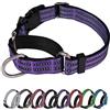 JOYEEIIOO Collare per cani martingale, collare regolabile in nylon riflettente con fibbia. No Pull - per cani di taglia piccola, media e grande. Impedisce lo scivolamento - Aiuta con estrattori forti