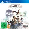 THQ Nordic Pillars of Eternity II: Deadfire Ultimate Collector's Edition (PlayStation 4) [Edizione: Germania]