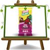 EURO PLANTS VIVAI Terriccio Linea decorazione Verde Pulito Corteccia di Pino Marittimo Vigorplant - Confezione da - 60 L