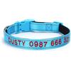 Generic Collare per cani personalizzato, nome dell'animale domestico ricamato personalizzato e numero di telefono, misure regolabili, piccola collari riflettenti per animali domestici (azzurro cielo)