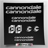 Stickersland Kit adesivi compatibile con telaio Cannondale V2 MTB Mountainbike e casco | decals sticker Decalcomanie bici scritte loghi | Stickersland® (Argento Lucido Metallizzato)