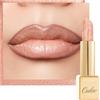 OULAC Rossetto Opaco Finitura Metallica, Matte Rossetti Pesca Nudo Glitterato Idratazione e Lucentezza a Lunga Durata per le Labbra, Texture Fine Colore Intenso, 4,3g (GM06) Hugs