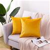CXTAI Confezione da 2 Federe Cuscini Divano 40 x 40 Decorativi Cuscini per Divano Copricuscini in Velluto - Giallo