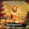 George V Records Buddha-Bar Presents Travel Impressions
