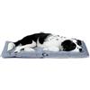 FERPLAST - Tappetino per Cani e Gatti - Cuccia per Cani Lavabile Media - Materassino per Cani - Impermeabile e Antigraffio - Tappetino per Auto, Cucce e Cestini per Cani - Jolly, 83 x 50 CM, GRIGIO