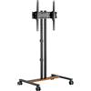 RIDEM SUPPORTO DA PAVIMENTO PER TV/LCD DA 34" A 55" (RDM S23)