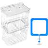arrderly Scatola di allevamento per acquario, in plastica trasparente e serbatoio di isolamento per Guppy, specie tropicali, incubatrice galleggiante con ventose, divisore per serbatoio