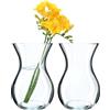 KADAX 2 Pezzi Vaso per Fiori, 18cm Vaso in Vetro, ⌀8cm Vaso per Fiori in Vetro con un Collo di 11cm, Vaso da Tavolo Trasparente, Vaso in Vetro Trasparente, Vaso in Vetro per Fiori, Vaso Decorativo per