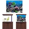 Mumusuki Sfondo in Poster per Acquario, Acquario Poster Sott'Acqua Coral Coral Fish Tank Sfondo Poster Addensare Adesivo PVC Statico Adesivo Sfondo Carta Decorativa Adesivi Decalcomanie(76 * 30cm)
