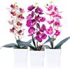 JINXIAN 3 Pentole Orchidea Finta con Vaso di Plastica Bianca Orchidee Finte con Altezza di 30 cm Orchidee Finte Realistiche Orchidea usate per Decorare la Scrivania da Sala da Pranzo