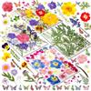 CAwished Fiori Secchi Decorativi Set di 120 pz 30 Tipi di Fiori Secchi Prensati per Decorazioni DIY Scrapbooking Resina Gioielli Fatti a Mano con Stickers Farfalle e Pinza