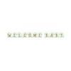 Bigiemme Festone componibile 260x15 cm - welcome baby teddy bear