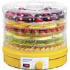 Concept Essicatore Frutta Verdura Fungi Erba 6 Contenitori Concept