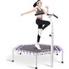 Gielmiy Trampolino Silenzioso Fitness Ø 122 cm,con Braccioli Regolabili a 5 Llivelli,Cardio Training per Adulti, per Esercizi Indoor/Giardino, Portata Massima 150 kg