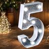 JEMESI Luce Numero LED - Numero Luminoso Argento con Glitter Perfetto per Uso come Luce Notturna o per Decorazione di Matrimonio, Festa di Compleanno, Casa (Numero 5)