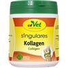 cdVet Naturprodukte Singulares Collagene 250 g - Cane, gatto, cavallo - rinforza le articolazioni - migliora la salute della pelle - aumenta la densità della cartilagine - regolazione + rigenerazione