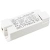 Eaglerise HuaTec Eaglerise Trasformatore LED 700mA 20W Dimmerabile TRIAC Corrente Costante per Lampada LED Alimentatore Driver