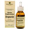 Erbecedario Sequoia Gemmoderivato Integratore Prostata e vie urinarie, Integratore Uomo con Azione Tonica sull'Organismo, Soluzione Idrogliceroalcolica - 100ml