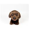 DQB DeQUBE Fondazione BOCALAN - Peluche Labrador Chocolate 21 cm con gilet - + 0 mesi (DeQube 939D00248)