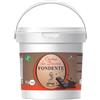 SEMAR® | Crema spalmabile Fondente - MADE IN ITALY - da 1KG ideale per privati ed uso commerciale (Gluten Free)