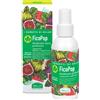 HELAN COSMESI Srl I Sorbetti Ficopop Deod Trasp