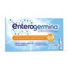 ENTEROGERMINA 10 FLACONCINI 4 MILIARDI/5ML