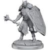WizKids D&D Nolzur's Marvelous Miniatures: Dragonborn Clerics - Miniatura non verniciata/innescata di Dungeons and Dragons di WizKids - Compatibile con DND e altri giochi di ruolo da tavolo TTRPG