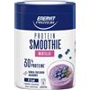 ENERVIT SpA Enervit protein smoothie mirtillo 320 g - - 986830988