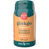 ERBA VITA GINKGO BILOBA 60 Cps 350mgEBV
