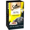 Sheba Mini Filets Selezione Pollame in salsa cibo umido per gatti (vaschette da 85 g) 1 scatola (8 pezzi)