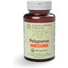 Funghi Energia&salute Polyporus Linea Basic 120cpr