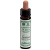 SANTIVERI Sa AINSWORTHS GENTIAN 10ML