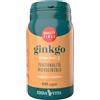 ERBA VITA GROUP SpA GINKGO 60CPS