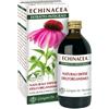 Giorgini Echinacea Integratore Estratto Integrale 200ml