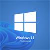 Microsoft Windows 11 Professional