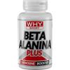 WHY SPORT Beta Alanina Plus 90cpr Integratore